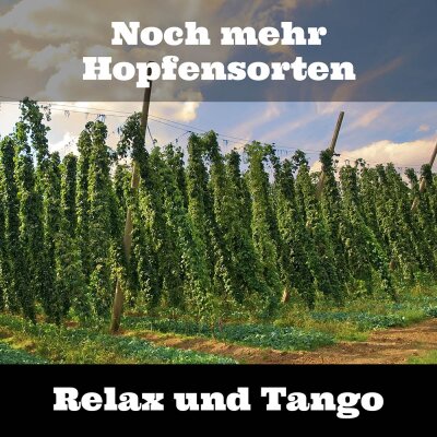 Noch mehr Hopfensorten Relax und Tango - Neue Hopfensorten Relax und Tango