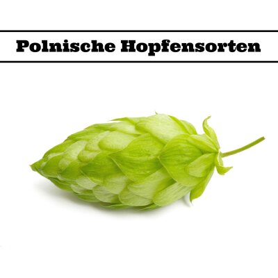 Polnische Hopfensorten - Polnische Hopfensorten