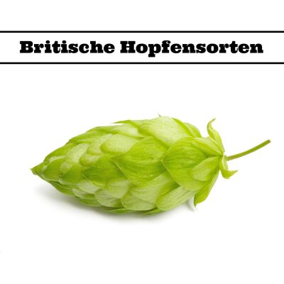 Britische Hopfensorten - Britische Hopfensorten