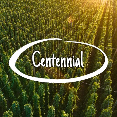 Hopfensorte Centennial - Hopfensorte Centennial