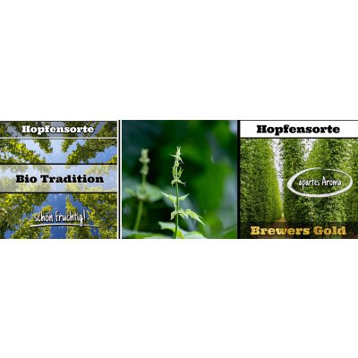 Bio Tradition und Brewers Gold - Bio Tradition und Brewers Gold