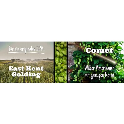 Hopfensorten East Kent Golding und Comet - Hopfensorten East Kent Golding und Comet
