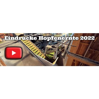 Eindrücke Hopfenernte 2022 - Eindrücke Hopfenernte 2022