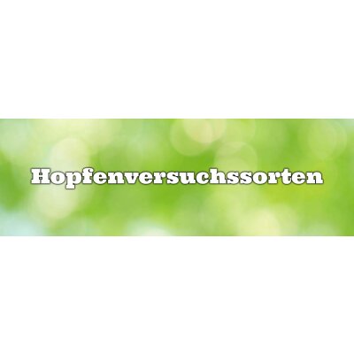 Hopfenversuchssorten - Hopfenversuchssorten