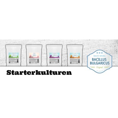 Bacillus Bulgaricus - Bacillus Bulgaricus