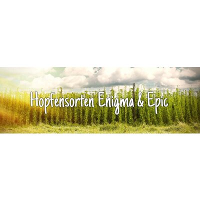 Hopfensorten Enigma und Epic - Hopfensorten Enigma und Epic
