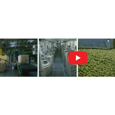 Hopfenveredelung in St. Johann - Hopfenveredelung in St. Johann