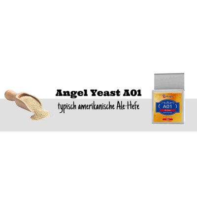 Neue Hefesorte: Angel Yeast A01 - Neue Hefesorte: Angel Yeast A01