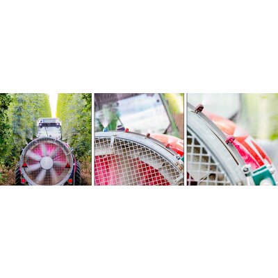 Pflanzenschutz - Pflanzenschutz