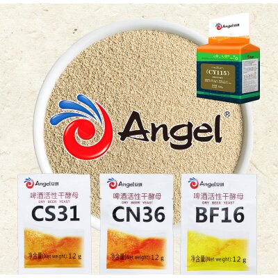 Angelhefen - Angelhefen