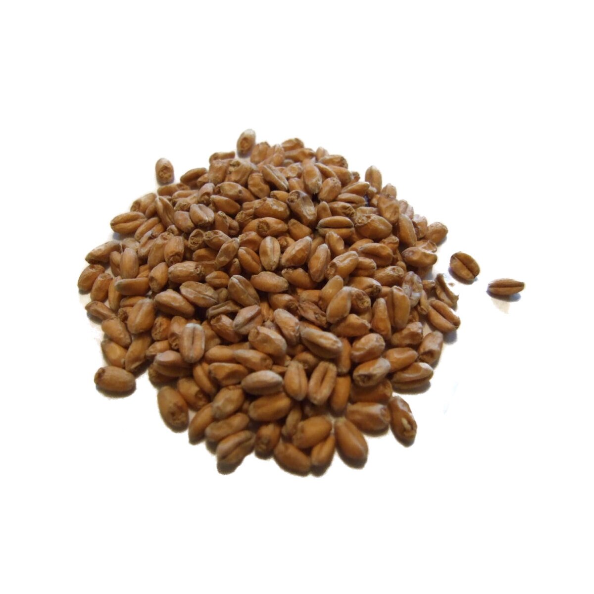 Pale Wheat Malt (3 5 EBC) crushed, 2,05