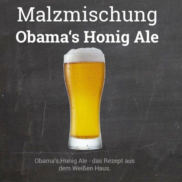 Malzmischung "Obamas Honig Ale"