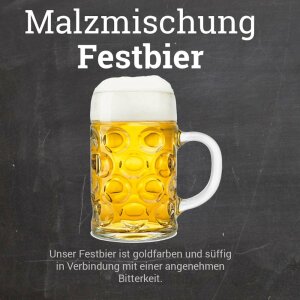 Malt Mix "Festbier" - warm fermenting - crushed